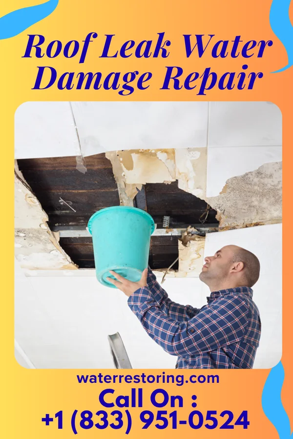 Roof Leak Water Damage Repair in Welcome, LA