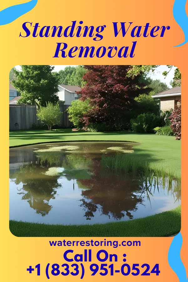 Standing Water Removal in Welcome, LA